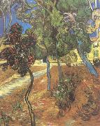 Vincent Van Gogh Trees in the Garden of Saint-Paul Hospital (nn04) France oil painting artist